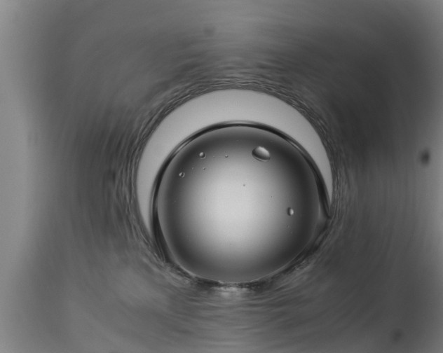 X0000112880233200908281644