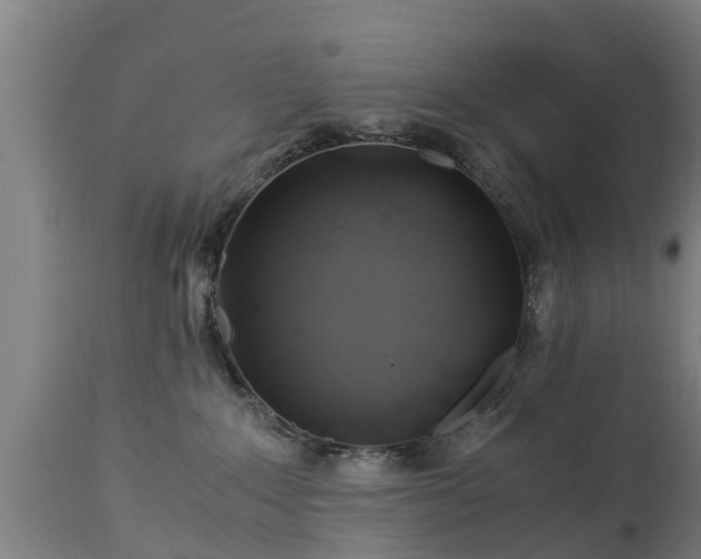 X0000112880235200908281644