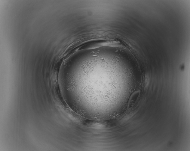 X0000112880236200908281644