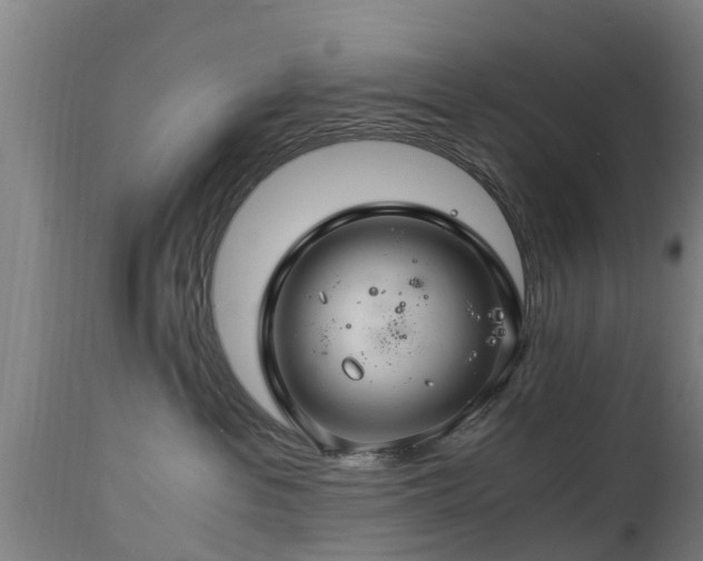 X0000112880237200908281644