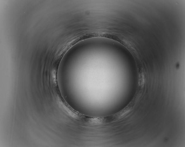 X0000112880238200908281644