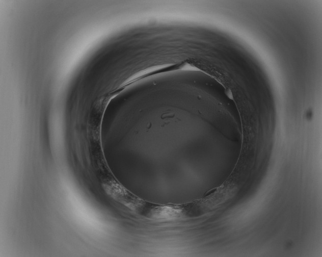 X0000112880239200908281644