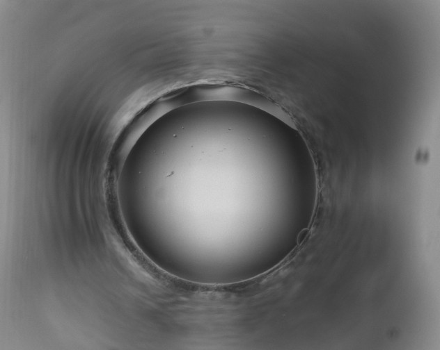 X0000112880242200908281644