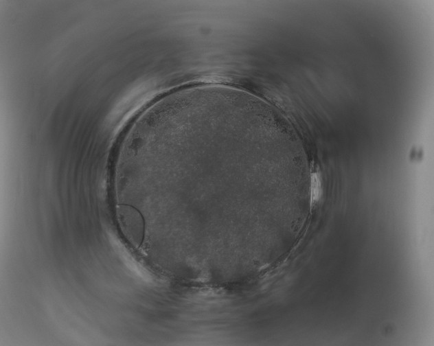 X0000112880243200908281644