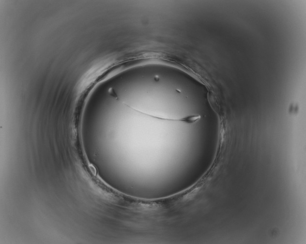 X0000112880245200908281644