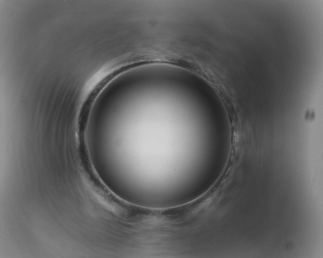 X0000112880246200908281644