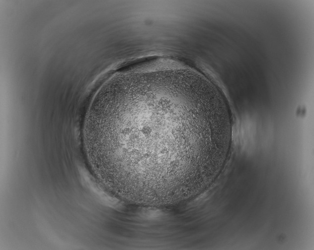 X0000112880249200908281644