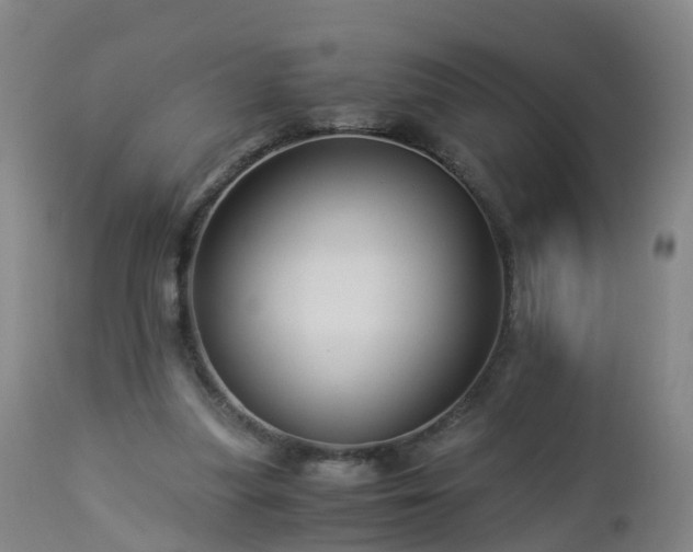 X0000112880251200908281644