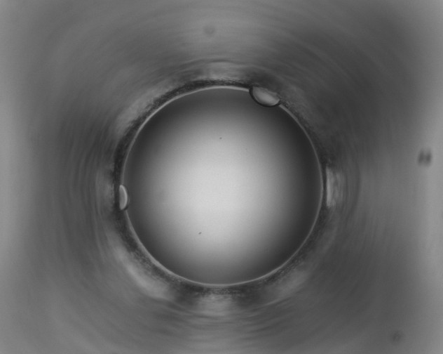 X0000112880252200908281644