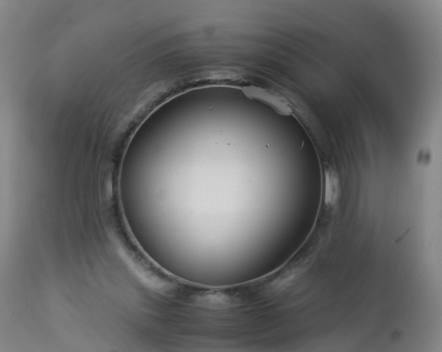 X0000112880253200908281644