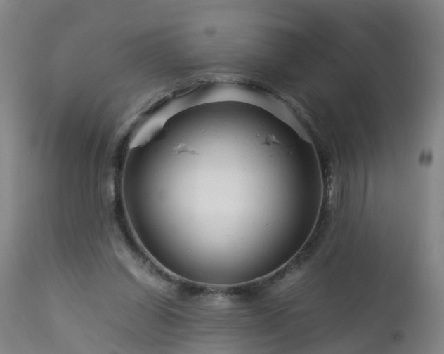 X0000112880254200908281644