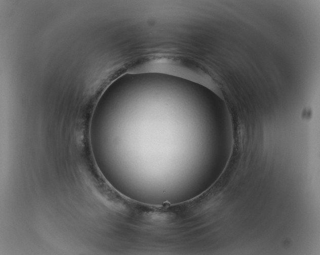 X0000112880255200908281644