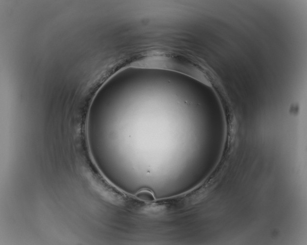 X0000112880257200908281644