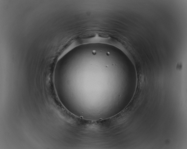 X0000112880259200908281644