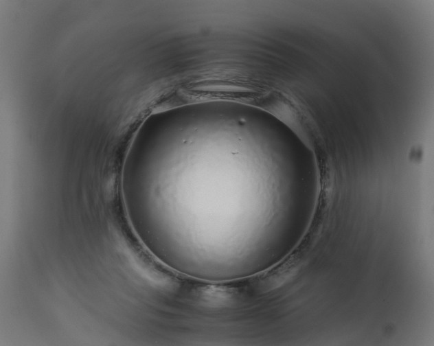 X0000112880261200908281644