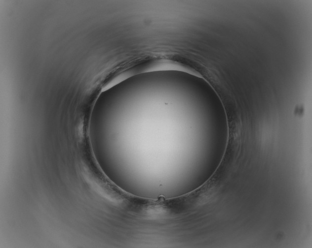 X0000112880262200908281644