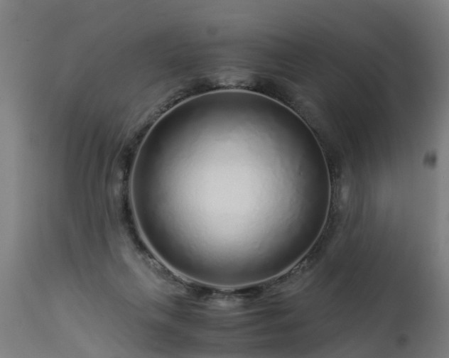 X0000112880263200908281644