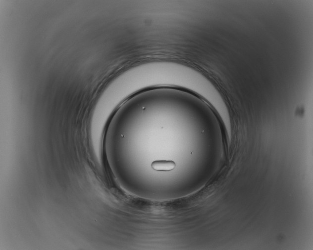 X0000112880264200908281644