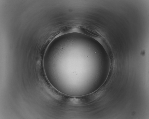 X0000112880265200908281644