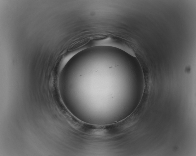 X0000112880266200908281644