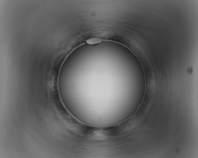 X0000112880268200908281644