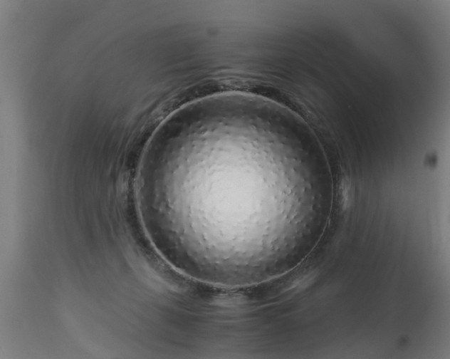 X0000112880271200908281644