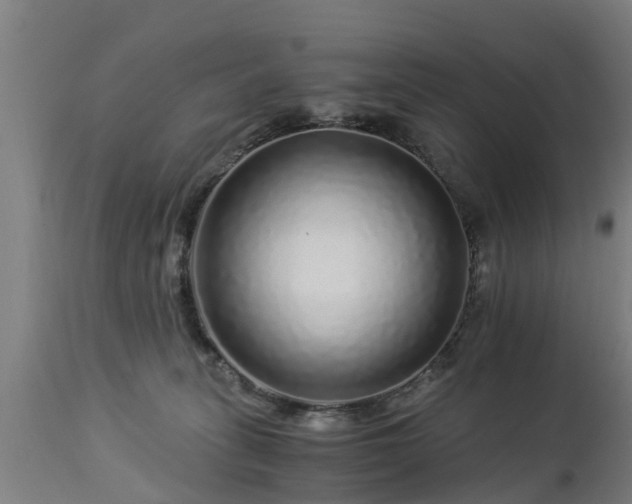 X0000112880275200908281644