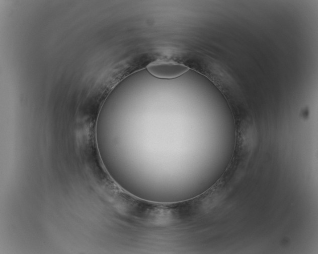 X0000112880276200908281644