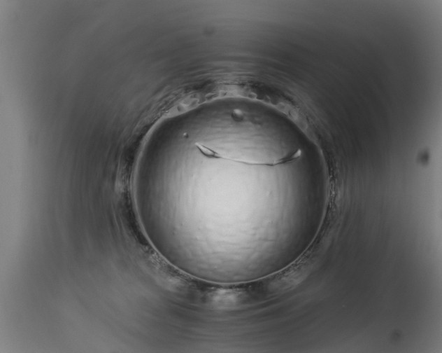 X0000112880277200908281644