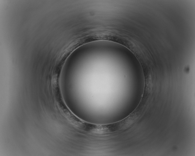 X0000112880278200908281644