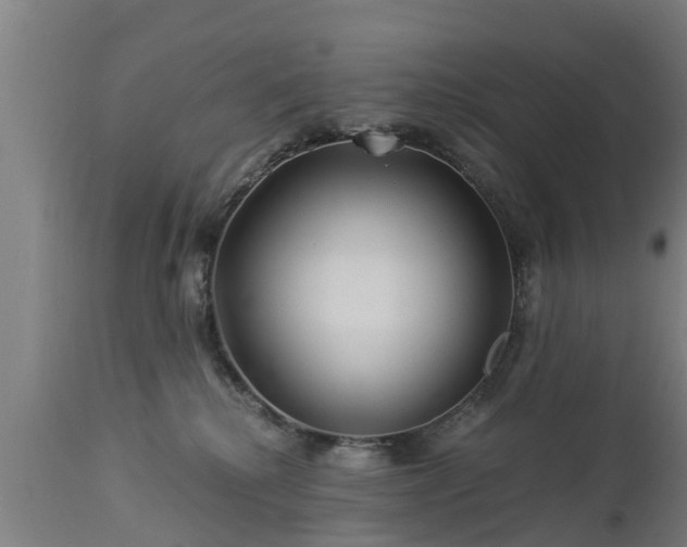 X0000112880280200908281644