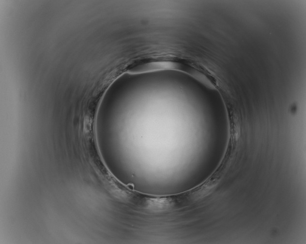 X0000112880281200908281644