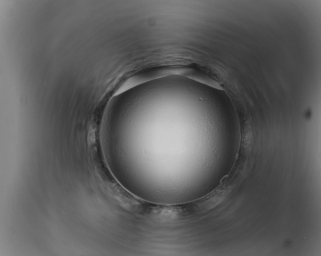 X0000112880282200908281644