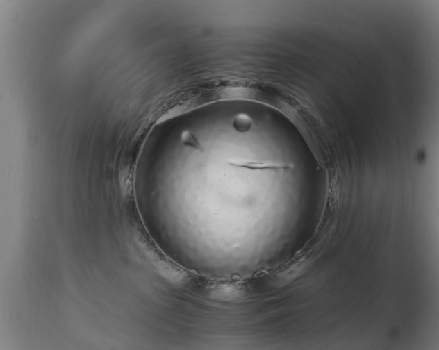 X0000112880285200908281644