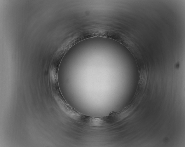 X0000112880287200908281644