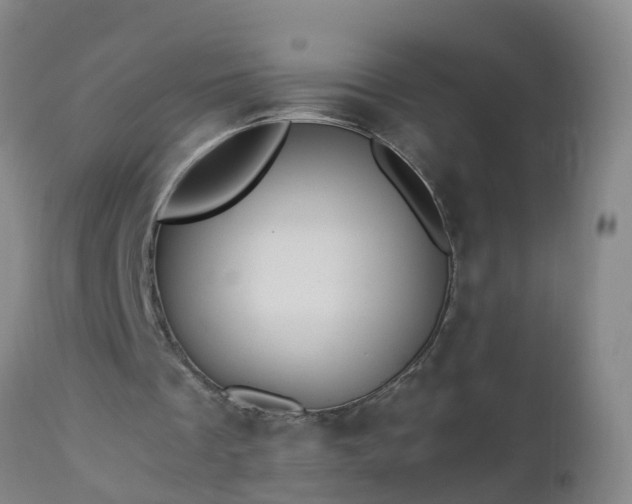 X0000112880289200908281644