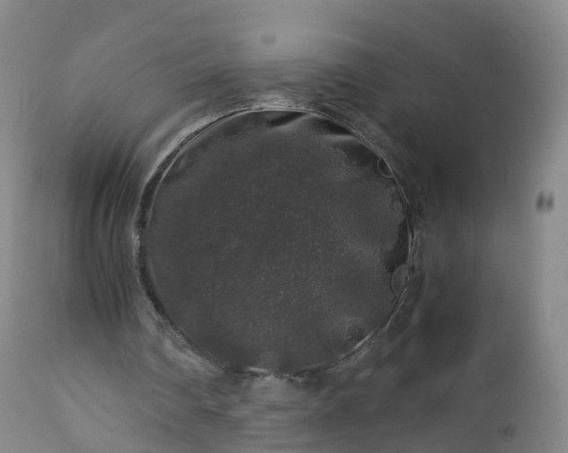 X0000112880290200908281644