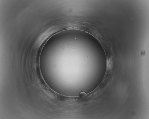 X0000112880291200908281644