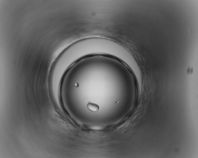 X0000112880292200908281644