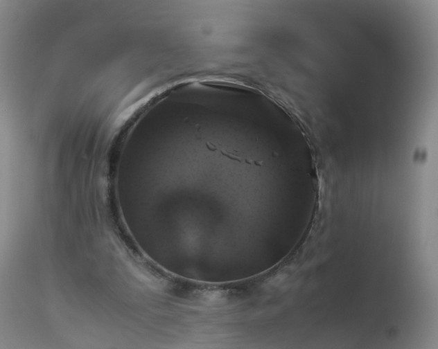 X0000112880295200908281644