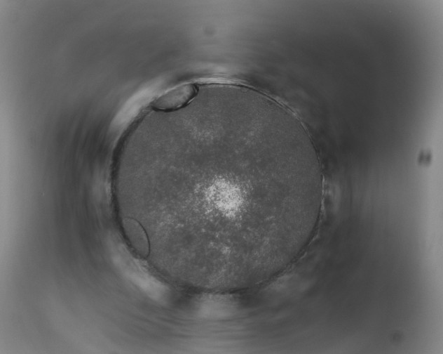 X0000112880296200908281644