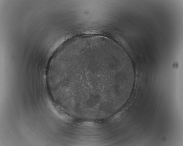 X0000112880298200908281644