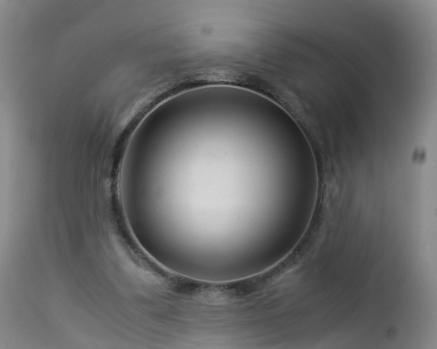 X0000112880299200908281644