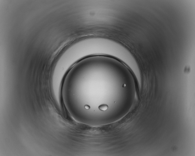 X0000112880300200908281644