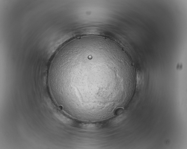 X0000112880301200908281643