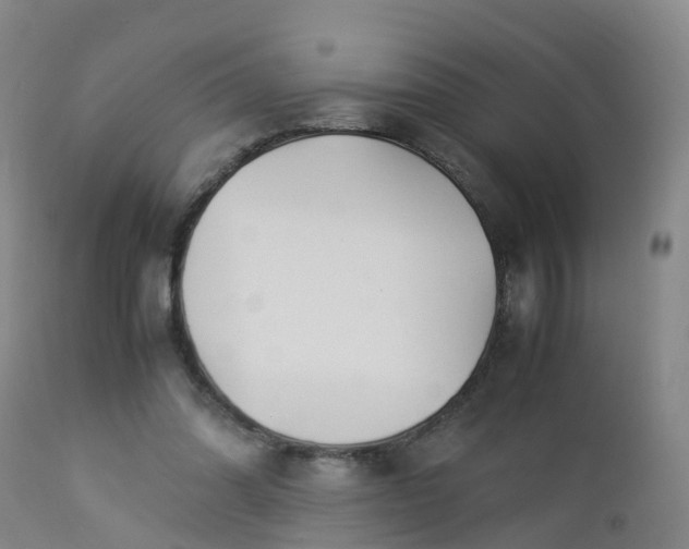 X0000112880302200908281643