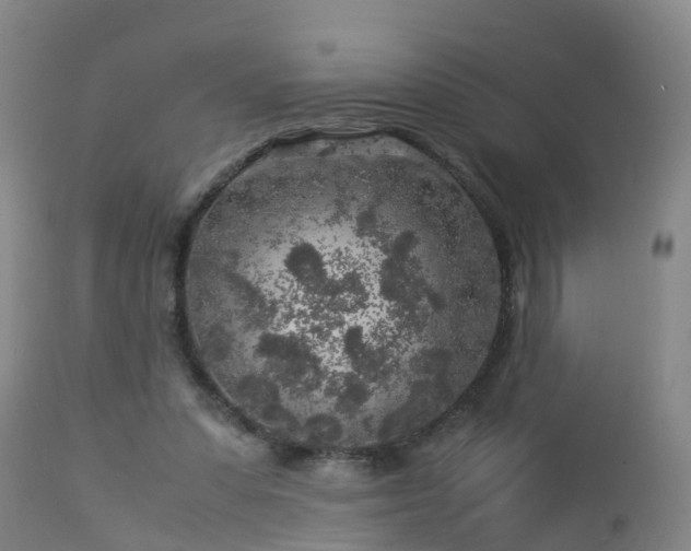 X0000112880303200908281643