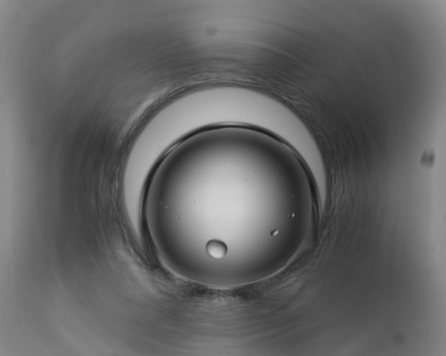 X0000112880304200908281643