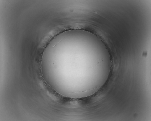 X0000112880307200908281643