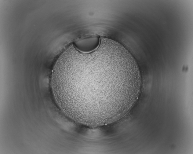 X0000112880309200908281643